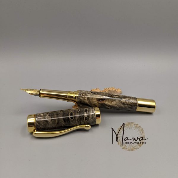 Gorgeous Unique Fountain Pen